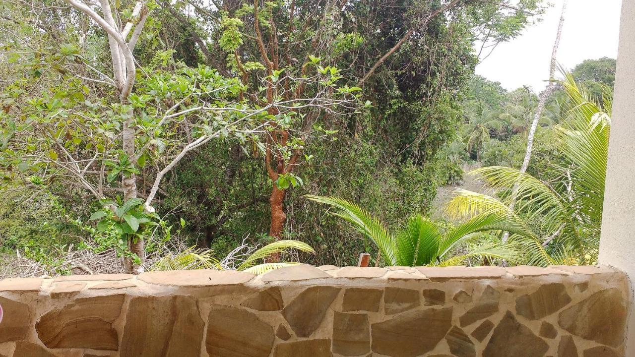 Montezuma Hills - Two Houses In A Private Compound ภายนอก รูปภาพ